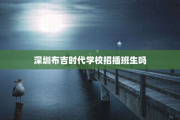 深圳布吉时代学校招插班生吗