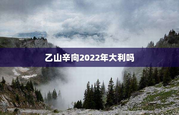 乙山辛向2022年大利吗