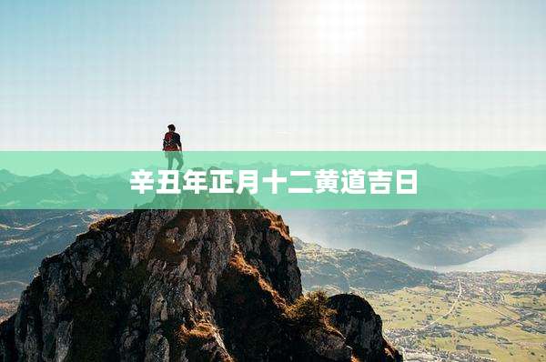 辛丑年正月十二黄道吉日