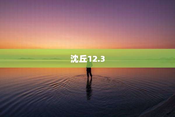 沈丘12.3