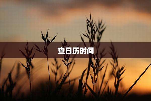查日历时间