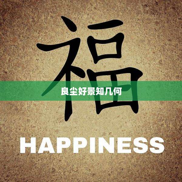 良尘好景知几何