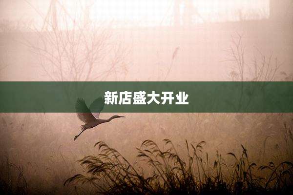 新店盛大开业