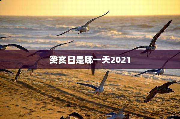 癸亥日是哪一天2021