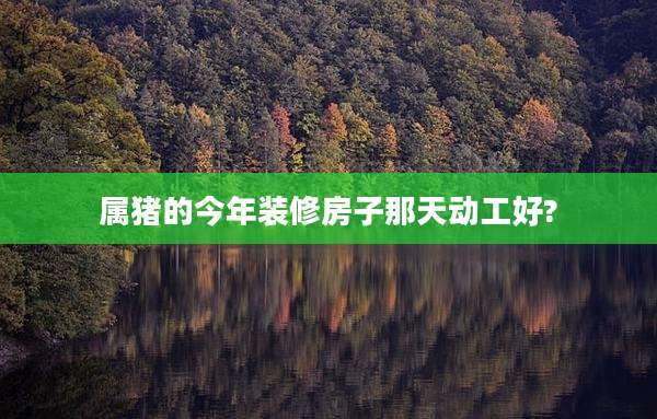 属猪的今年装修房子那天动工好?
