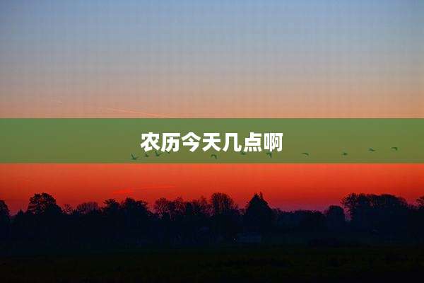 农历今天几点啊