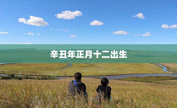 辛丑年正月十二出生
