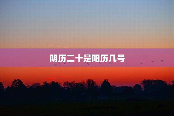 阴历二十是阳历几号