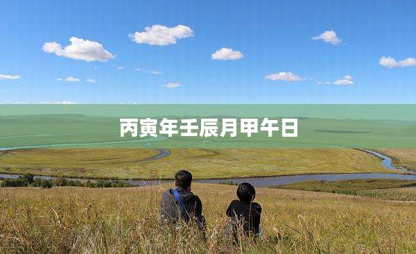 丙寅年壬辰月甲午日