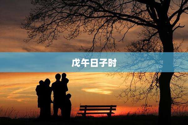 戊午日子时