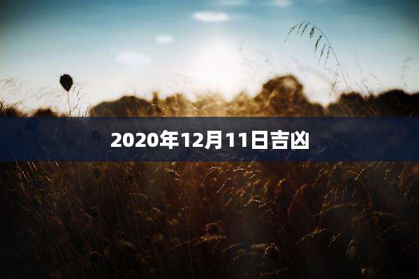 2020年12月11日吉凶