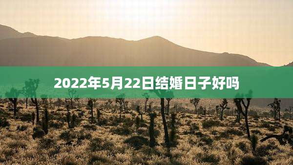 2022年5月22日结婚日子好吗