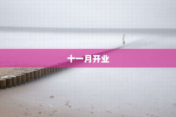 十一月开业
