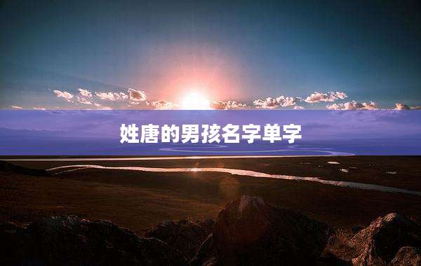 姓唐的男孩名字单字