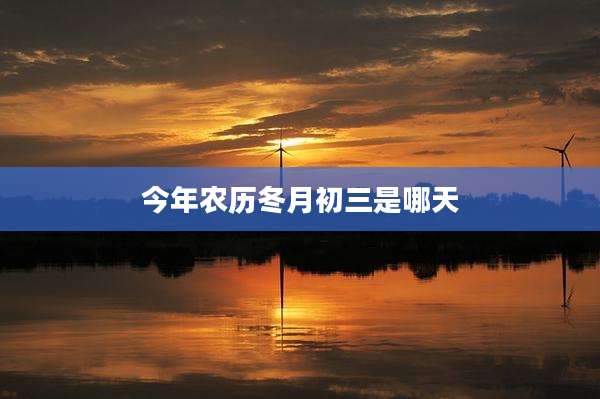 今年农历冬月初三是哪天