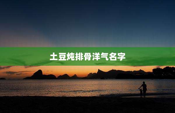 土豆炖排骨洋气名字