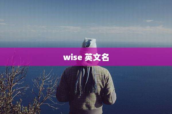 wise 英文名