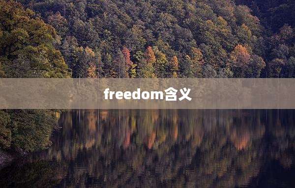freedom含义