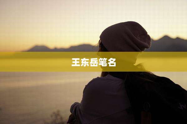 王东岳笔名