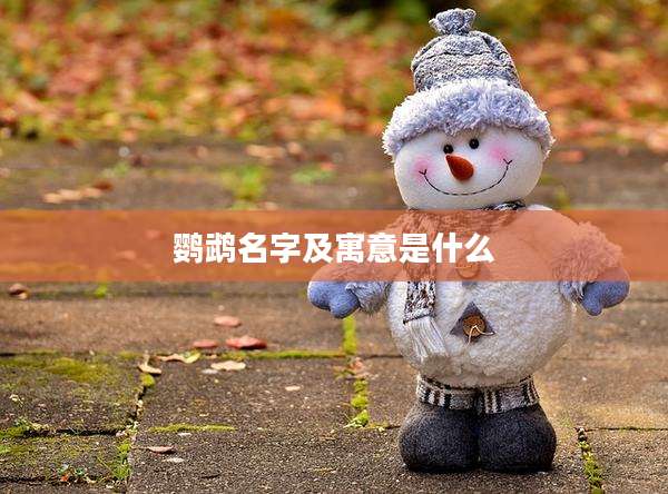 鹦鹉名字及寓意是什么