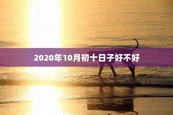 2020年10月初十日子好不好