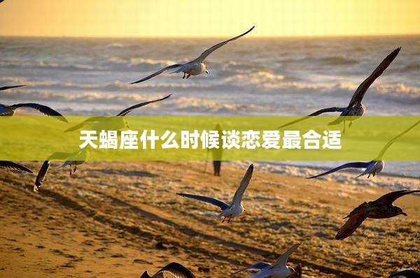 天蝎座什么时候谈恋爱最合适