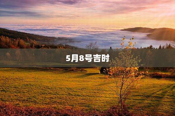 5月8号吉时