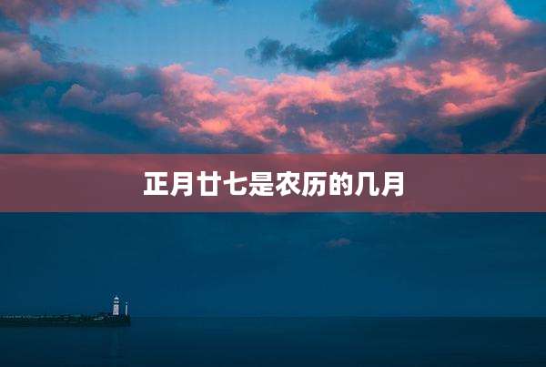 正月廿七是农历的几月