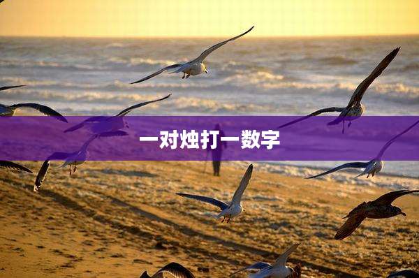 一对烛打一数字