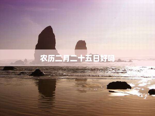 农历二月二十五日好吗