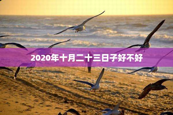2020年十月二十三日子好不好