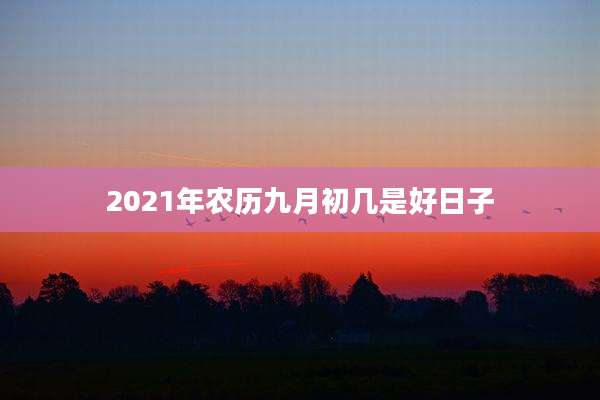 2021年农历九月初几是好日子