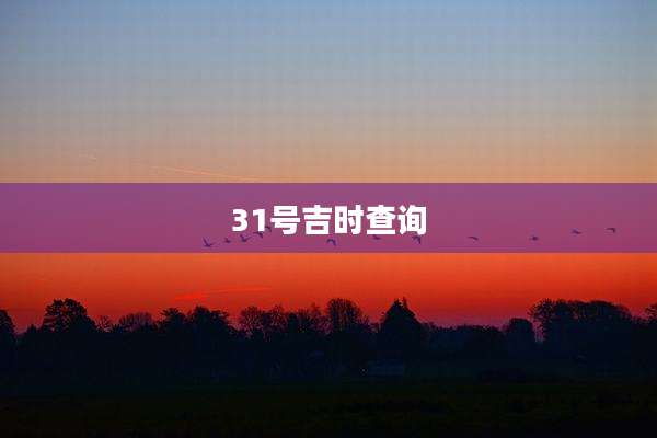 31号吉时查询
