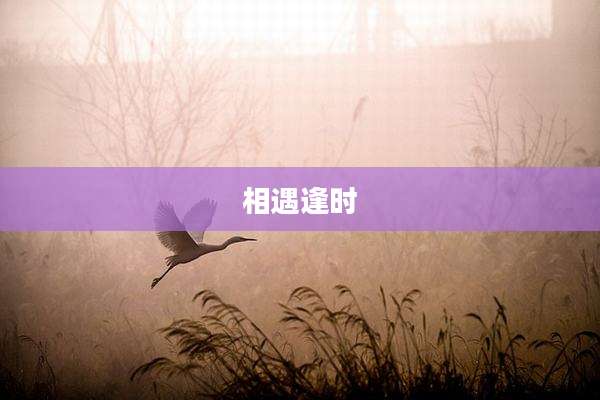 相遇逢时