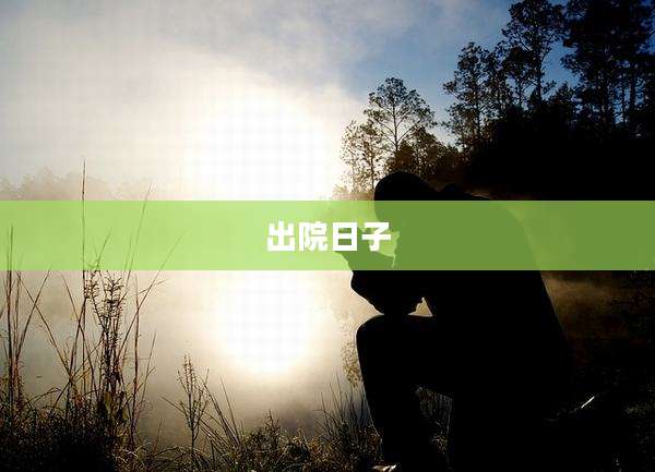 出院日子