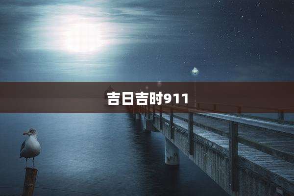 吉日吉时911