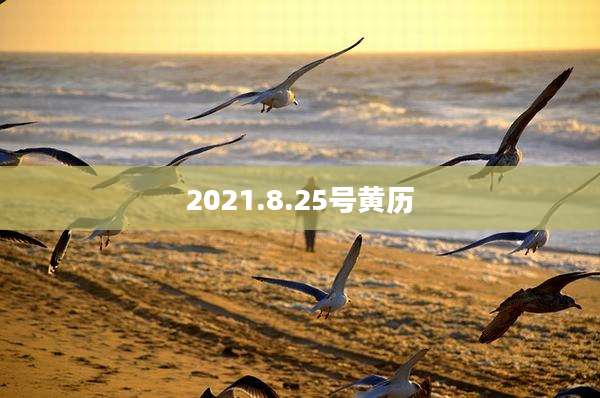 2021.8.25号黄历
