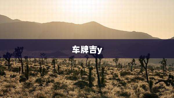 车牌吉y