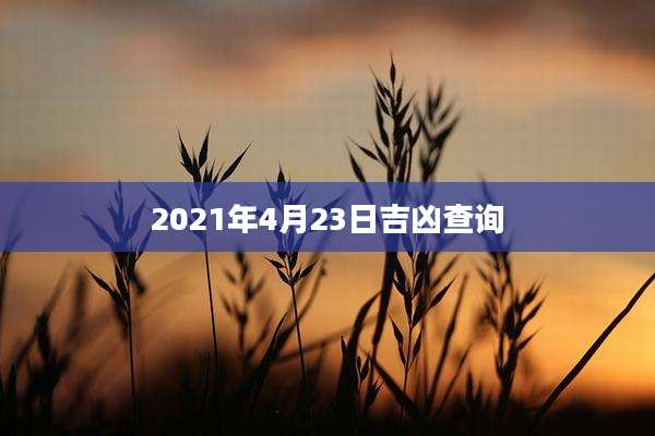 2021年4月23日吉凶查询