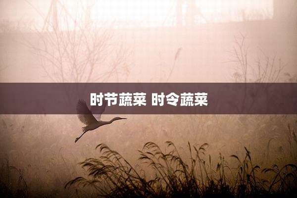 时节蔬菜 时令蔬菜