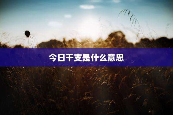 今日干支是什么意思
