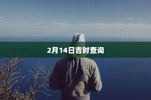 2月14日吉时查询