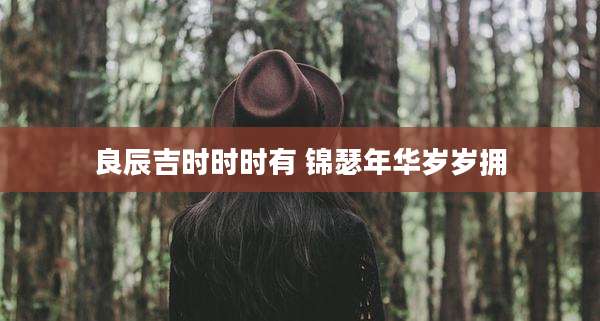 良辰吉时时时有 锦瑟年华岁岁拥