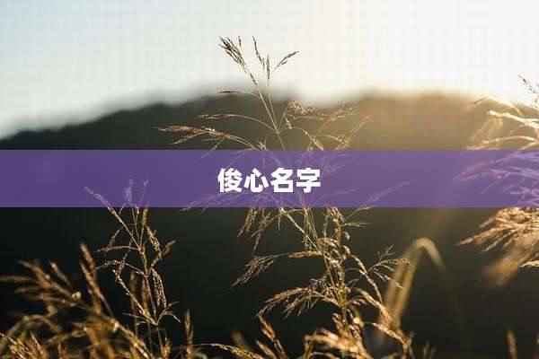俊心名字
