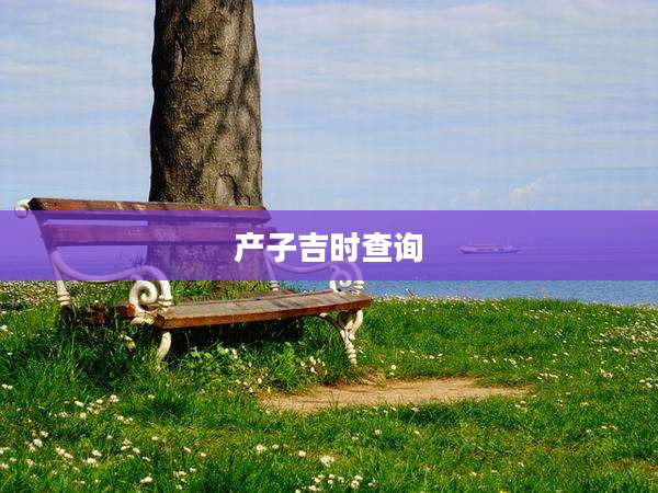 产子吉时查询