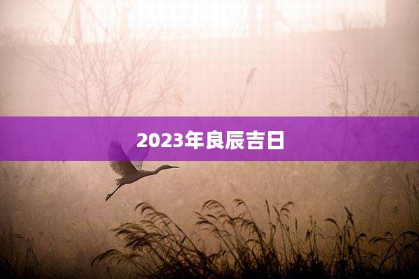 2023年良辰吉日