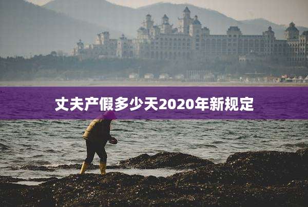 丈夫产假多少天2020年新规定