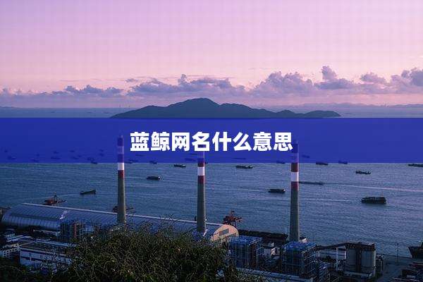 蓝鲸网名什么意思