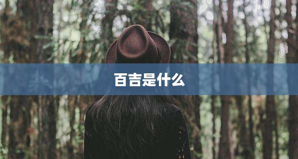 百吉是什么