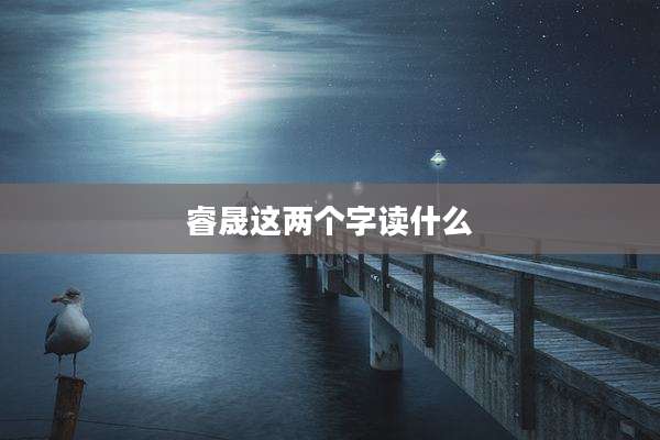 睿晟这两个字读什么